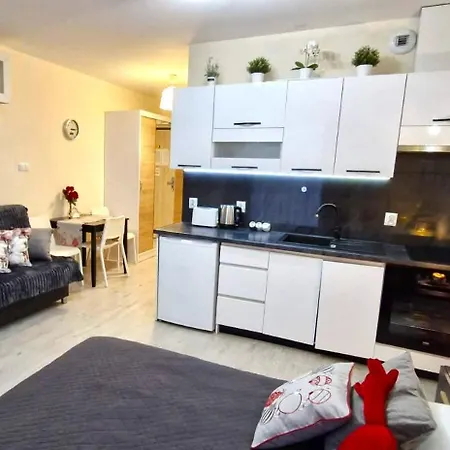 Cracow Novum Downtown 4 Persons * Krakov